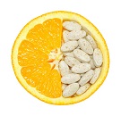 Vitamine B & C