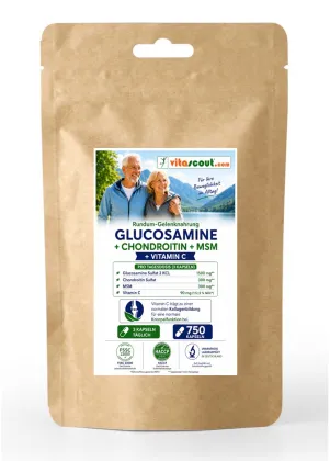 Glucosamine Sulphat 2 KCL + Chondroitin Sulphat + MSM + Vitamin C - 750 Kapseln