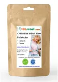 CHITOSAN 2000 Fettblocker + L-Leucin + Chrom - 750 Tabletten - Einzigartige Formel